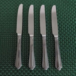 4 Hampton Silversmiths RENEE Dinner Knives Stainless 18/10 Rope Edge Glossy Set